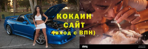 прущие грибы Абаза