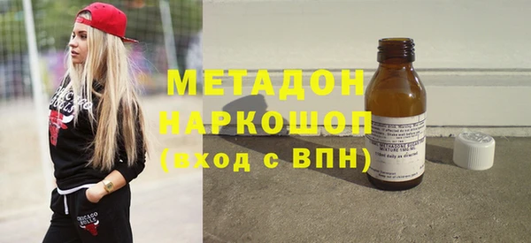 прущие грибы Абаза