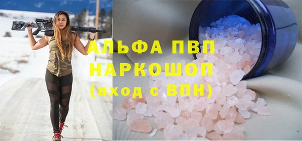 прущие грибы Абаза