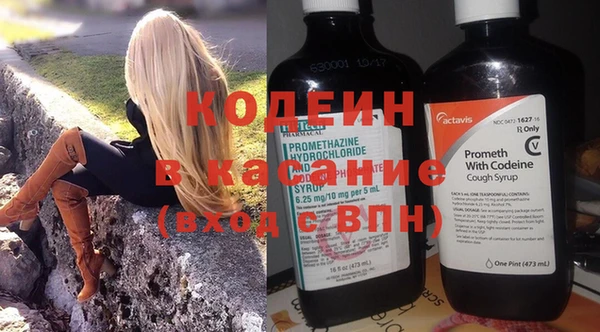 прущие грибы Абаза