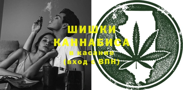 прущие грибы Абаза